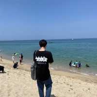 넓고 푸른 동해안의 자랑 강릉 안목해변🌊