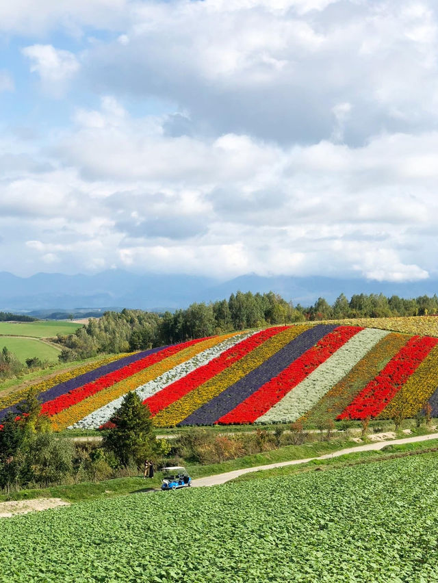 【北海道観光】美瑛町にある絶景の丘🌈