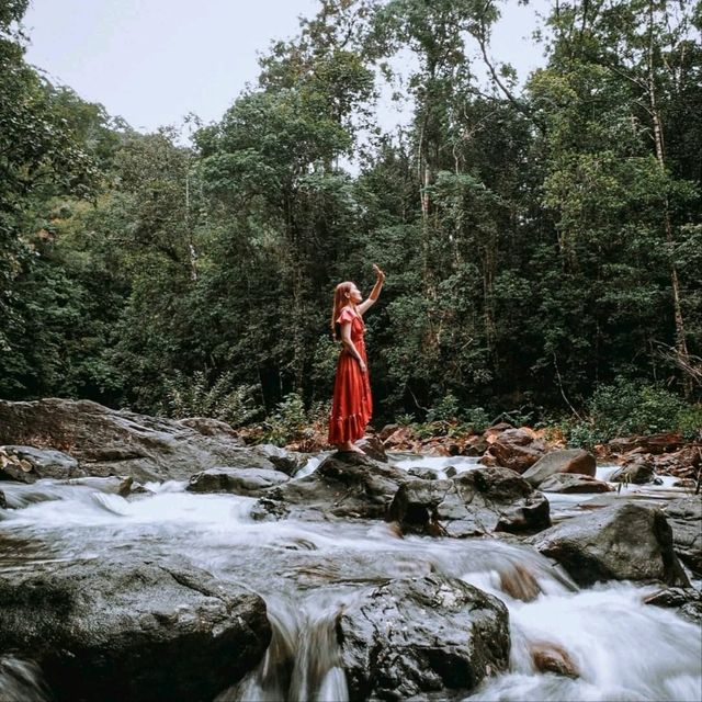 เกาะช้างไม่ได้มีดีแค่ทะเล 🏞🌿