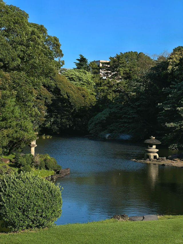 One of my favorite spots in Tokyo :)