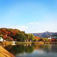 The View of Daegu Arboretum in Falling Season