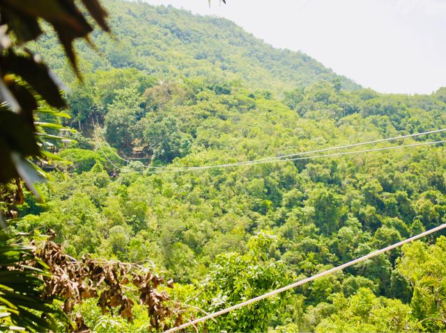 Ziplining in Loboc Town