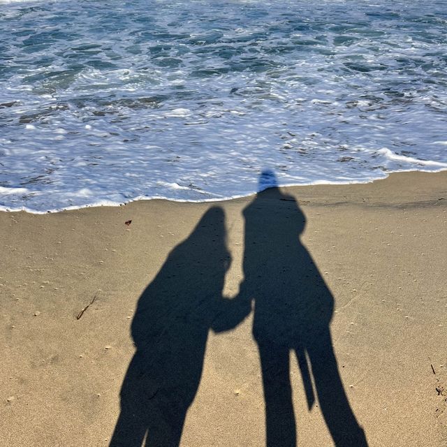 겨울 바다 여행은 역시 양양 서피비치