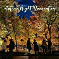 Autumn Night Illumination of the Kiyomizu-dera