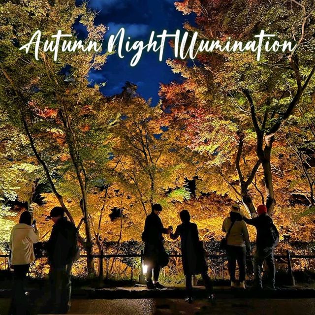 Autumn Night Illumination of the Kiyomizu-dera