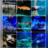The Gateway to The Marine World