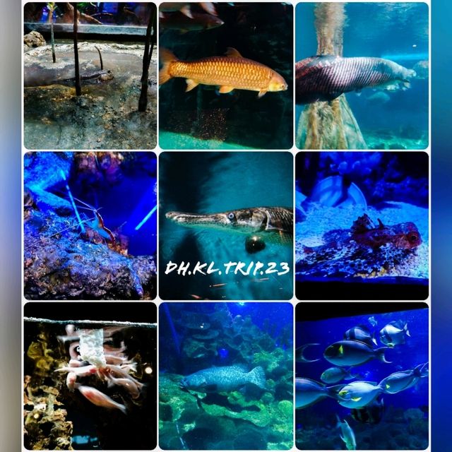 The Gateway to The Marine World
