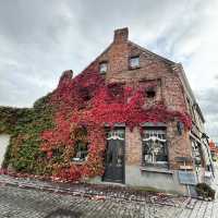 Autumn's Embrace: Bruges!