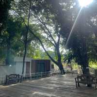 Antika Café & Resort 🌴🌴🌴