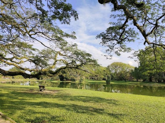 Taiping Lake Gardens