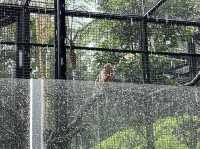 本地動物園—香港動植物公園