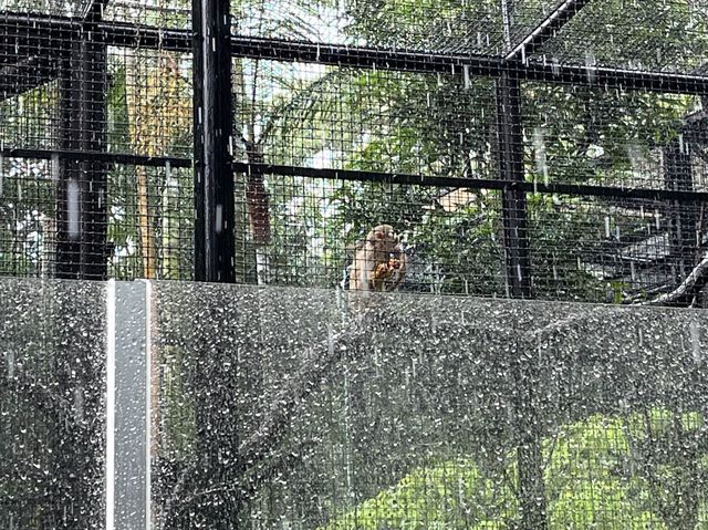 本地動物園—香港動植物公園