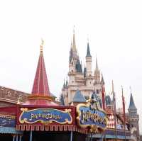 【夢の国🏰ディズニーランド】