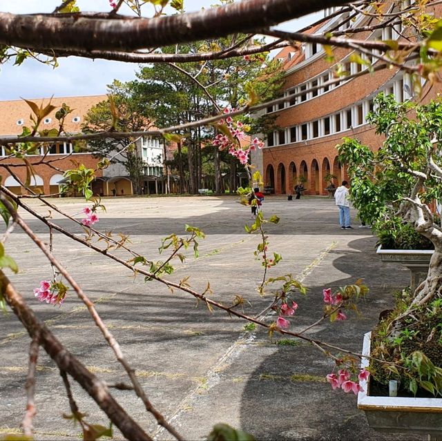 Dalat College of Pedagogy