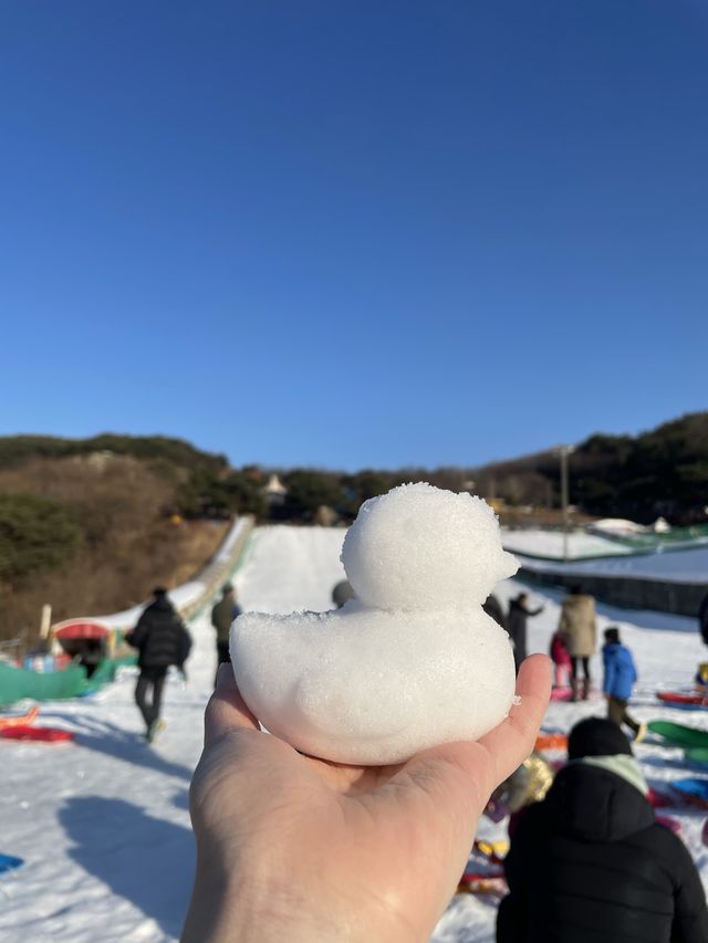 경남인도 눈이 보고싶었어요…