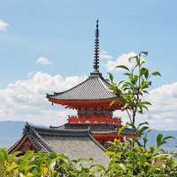 Japan | Kyoto 1 Day trip