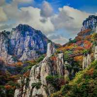 Lovely Autumn escape from busy Seoul !! 