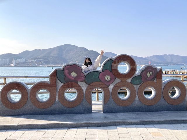 🌺동백꽃 군락으로 유명한 '여수 오동도'