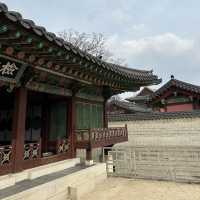 봄에 가면 좋은 창경궁 데이트