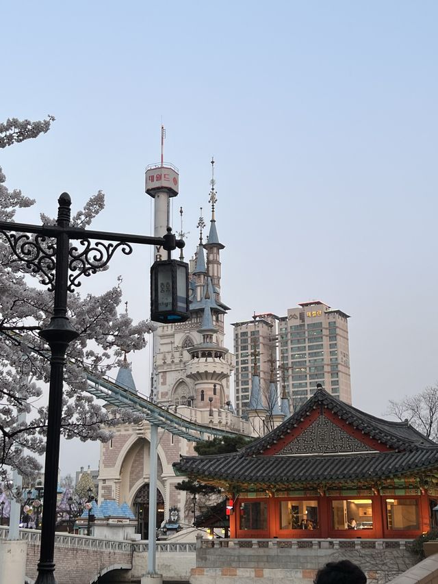 韓国/ソウル【蚕室】桜が咲くお花見シーズンのおすすめスポット🌸