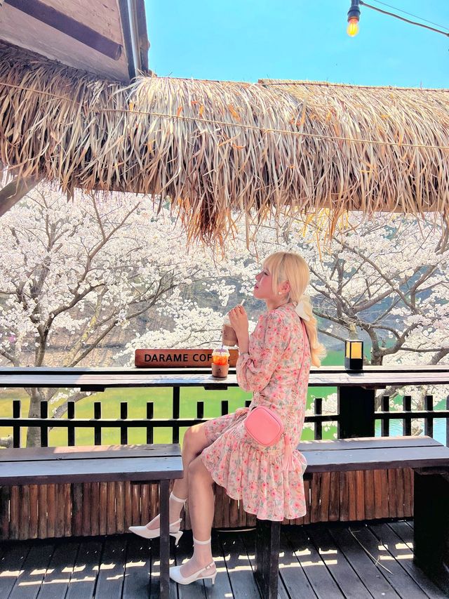 인정할 수 밖에 없는 용인 벚꽃뷰 카페 🌸