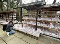 東京好有特色貓貓豪德寺