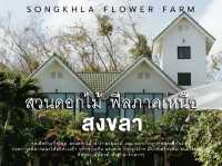 Songkhla Flower Farm ... หาดใหญ่ จ.สงขลา