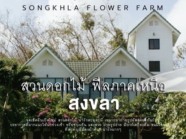 Songkhla Flower Farm ... หาดใหญ่ จ.สงขลา