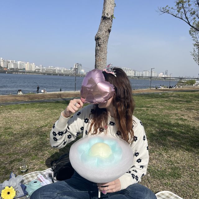 Picnic at Han River 