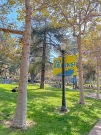 UCLA 마스코트 곰동상🐻그리고 스토어 투어까지🛍️