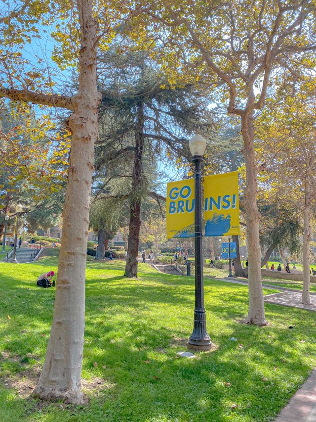 UCLA 마스코트 곰동상🐻그리고 스토어 투어까지🛍️