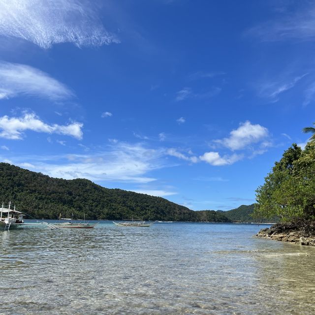 Koh tao island