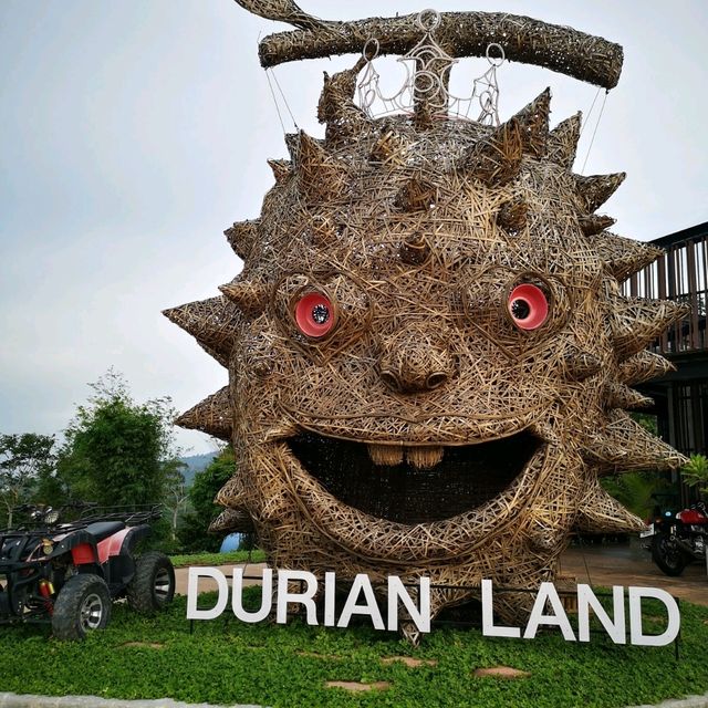 คิดถึงทุเรียน คิดถึง Durianland 