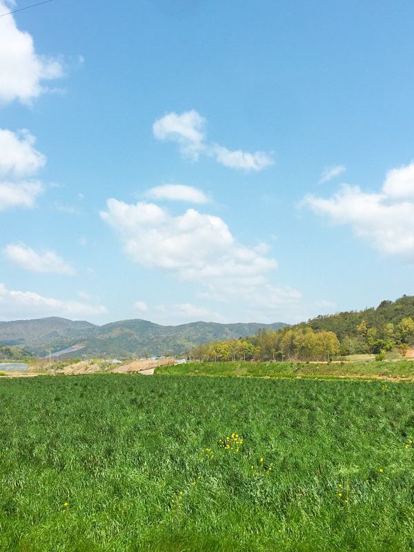 보성 가볼 만한 곳 고즈넉한 “열화정”