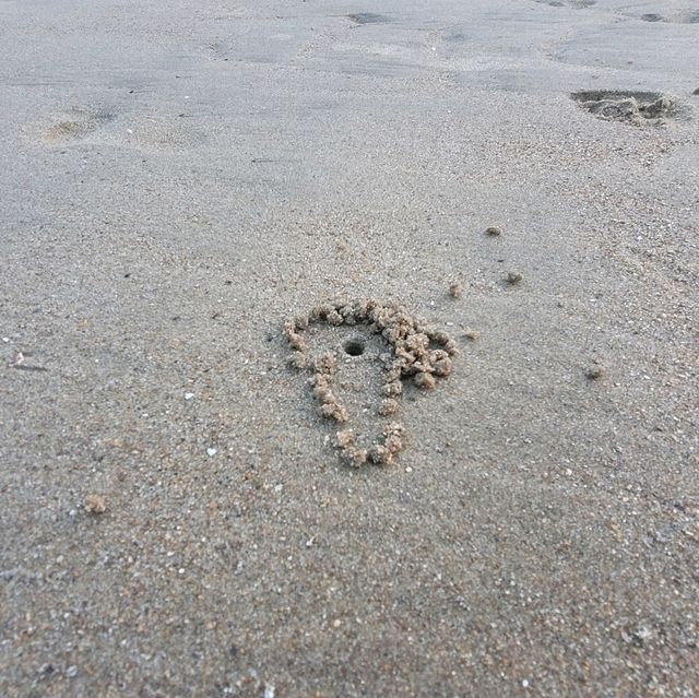 고즈넉한 여유로움을 즐길 수 있는 태안 구름포 해수욕장🏖