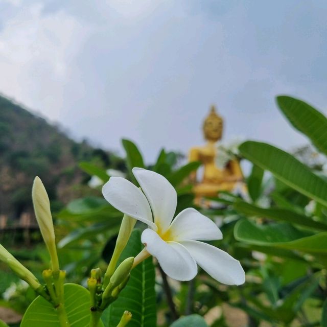 วัดดี โอโซนเด่น ต้องมาที่วัดนาคูหา