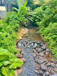 Hidden Gem <Hot Spring> In Northern Bali⁉️🤫