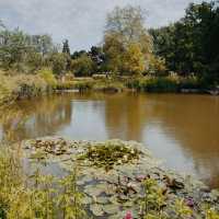 The Regent's Park, London