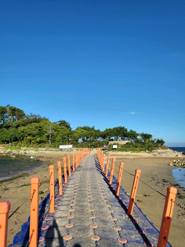 진하해수욕장 가면 여기도 꼭! 무인도 명선도🏝