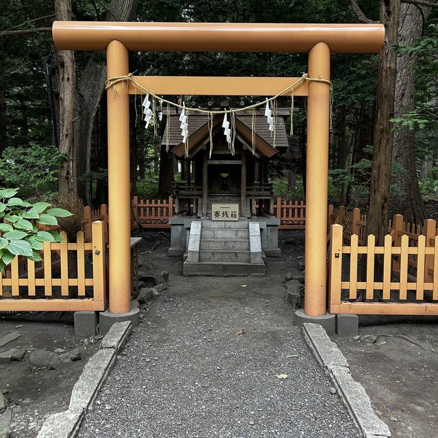 Shrine hopping in Hokkaido 