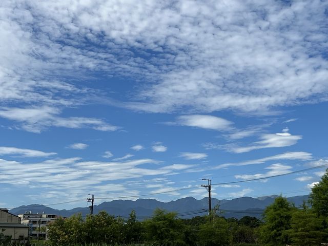 張美阿嬤農場，充滿童趣的景點，還可以看到水豚君在泡澡