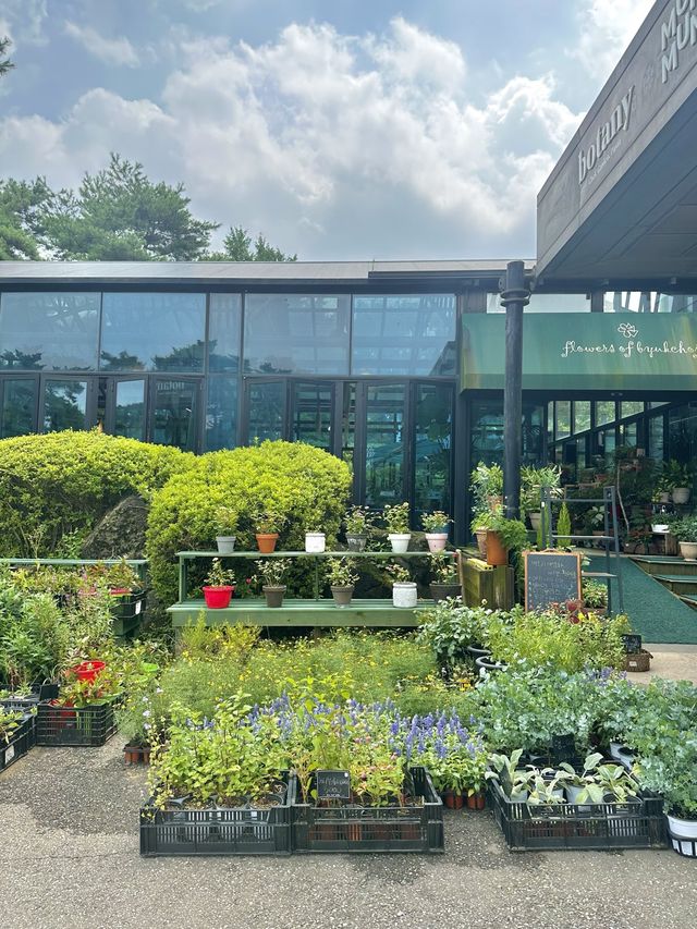 파주 가볼만한 곳, 벽초지수목원🌿💚