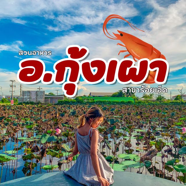 สวนอาหารที่มีมุมถ่ายรูปเยอะ‼️