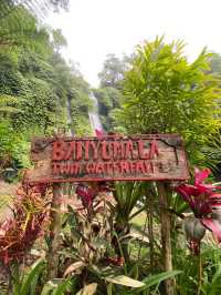 Banyumala Waterfall