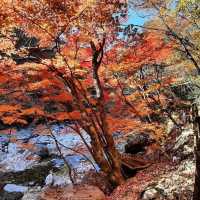 Most beautiful falling season at Bamsagol