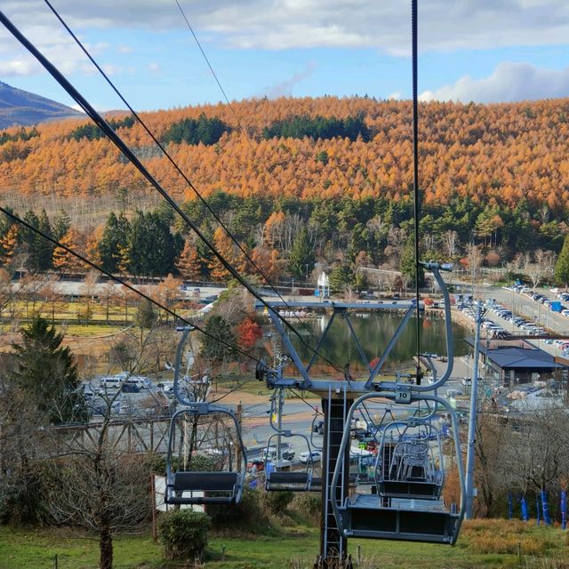 Nagano Autumn Trip last year 