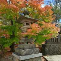 【見どころ】　紅葉が美しい映える神社