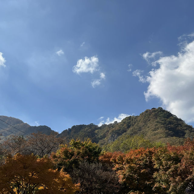 The Place with Eternal Autumn Foilage!