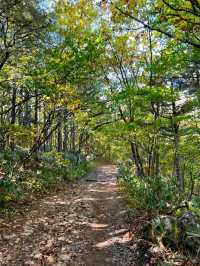 【福島】絶景が見れる薬師岳パノラマパーク