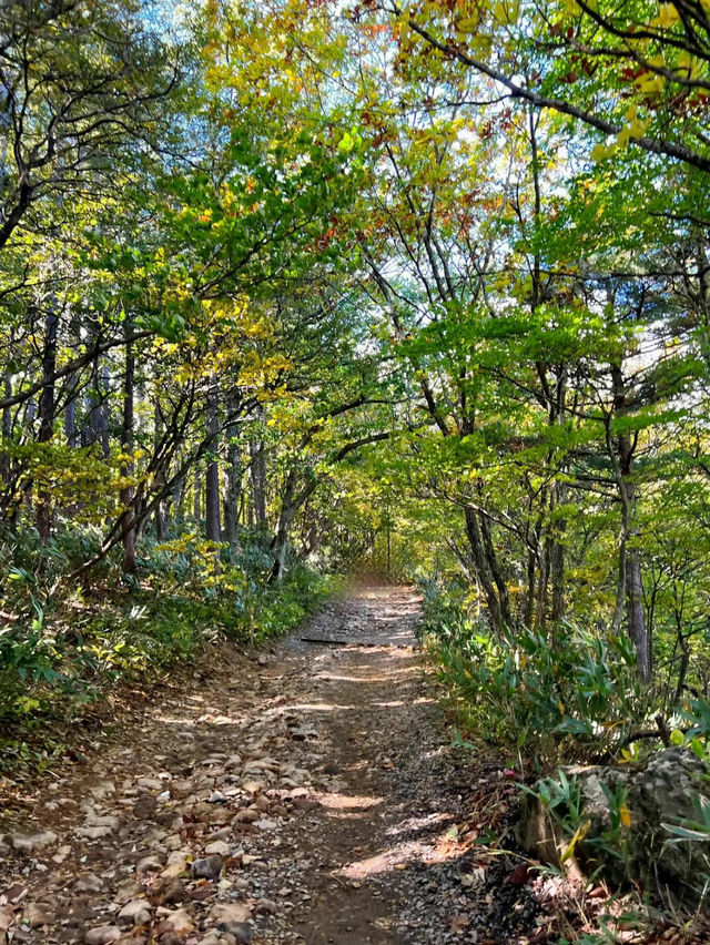 【福島】絶景が見れる薬師岳パノラマパーク